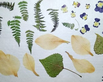 terrarium supply natural flowers pressed leaf dry flower project diy resin rose petals sunflower maple daisy flowers cornflower herbs э2