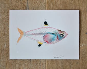 X-ray fish, x-ray fish drawing, original artwork, animal art, nature wall art