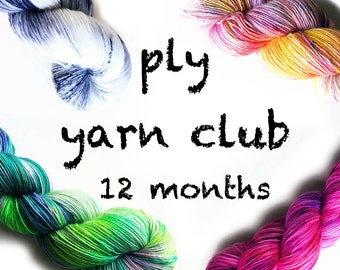 PLY yarn club / hand dyed yarn / 12 month membership / customizable / gift yourself / yarn membership /pancake & lulu yarn of the month club