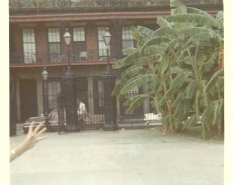 Vintage Snapshot "Hi, Mom!" Waving Hand Lower Left Kodacolor Found Vernacular Photo