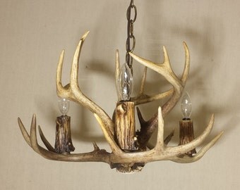 NEWLY CRAFTED!!! 3-Light Whitetail Deer Antler Chandelier (17-18" Dia. X 10-11" H.) Size: Small