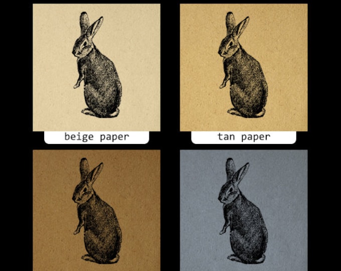 Rabbit Digital Image Rabbit Graphic Cute Animal Bunny Printable Easter Spring Nursery Download Antique Clip Art Jpg Png Eps HQ 300dpi No.334
