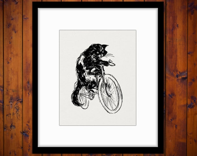 Printable Image Cat Riding Bicycle Digital Download Graphic Antique Clip Art Jpg Png Eps HQ 300dpi No.1851