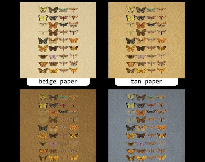 Printable Image Butterflies and Moths Collage Sheet Graphic Download Digital Antique Clip Art Jpg Png Eps HQ 300dpi No.3869