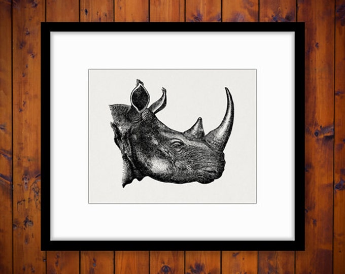 Printable Graphic Rhinoceros Digital Rhino Image Download Illustration Vintage Clip Art Jpg Png Eps HQ 300dpi No.2551