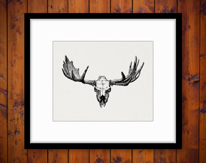 Digital Graphic Elk Skull Image Download Printable Artwork Vintage Clip Art Jpg Png Eps HQ 300dpi No.2125