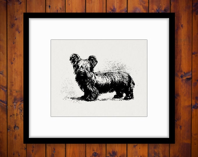 Digital Image Small Dog Graphic Download Printable Antique Clip Art Jpg Png Eps HQ 300dpi No.661