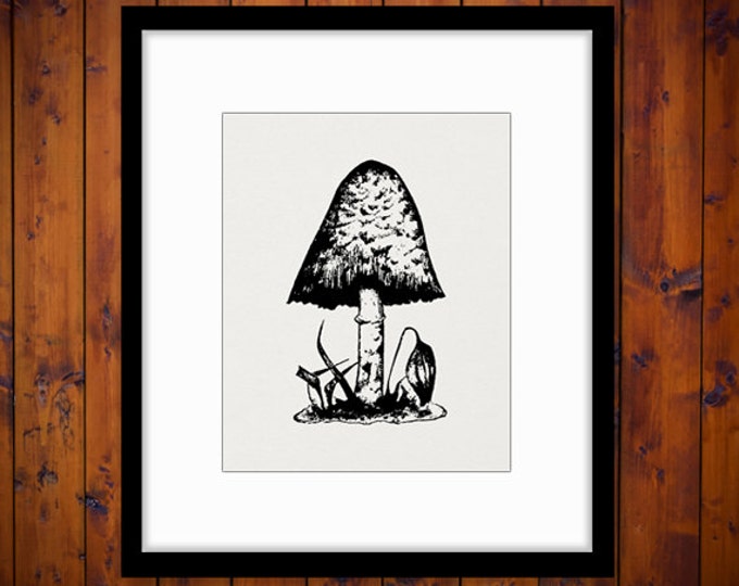 Antique Mushroom Digital Graphic Printable Download Illustration Image Vintage Clip Art Jpg Png Eps HQ 300dpi No.3584