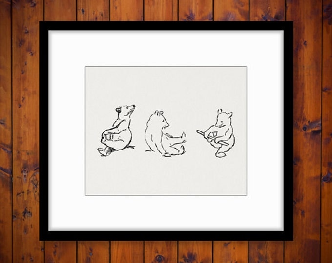 Little Bear Cubs Digital Image Download Blackbear Graphic Illustration Printable Antique Clip Art Jpg Png Eps HQ 300dpi No.1193