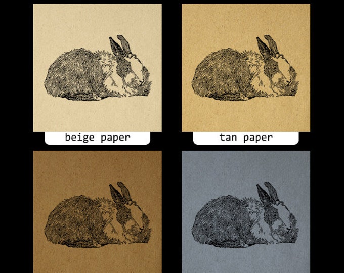 Digital Angora Rabbit Printable Download Bunny Illustration Graphic Image Vintage Clip Art Jpg Png Eps HQ 300dpi No.3108