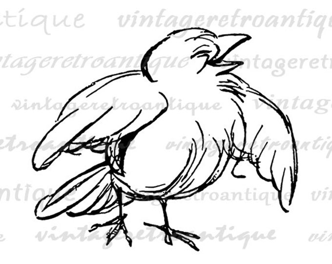 Digital Graphic Happy Little Bird Download Printable Cartoon Illustration Image Vintage Clip Art Jpg Png Eps HQ 300dpi No.2886