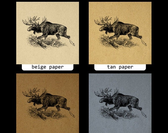 Moose Graphic Image Download Printable Digital Illustration Antique Clip Art Jpg Png Eps HQ 300dpi No.803