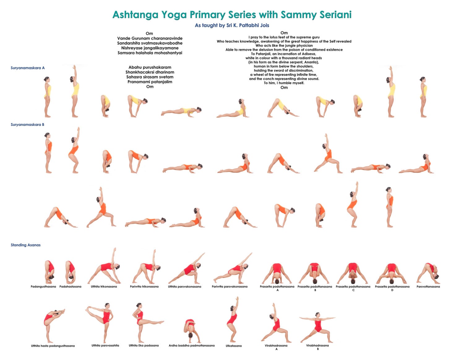8.5 x 11 Laminated Ashtanga Yoga Primary Series