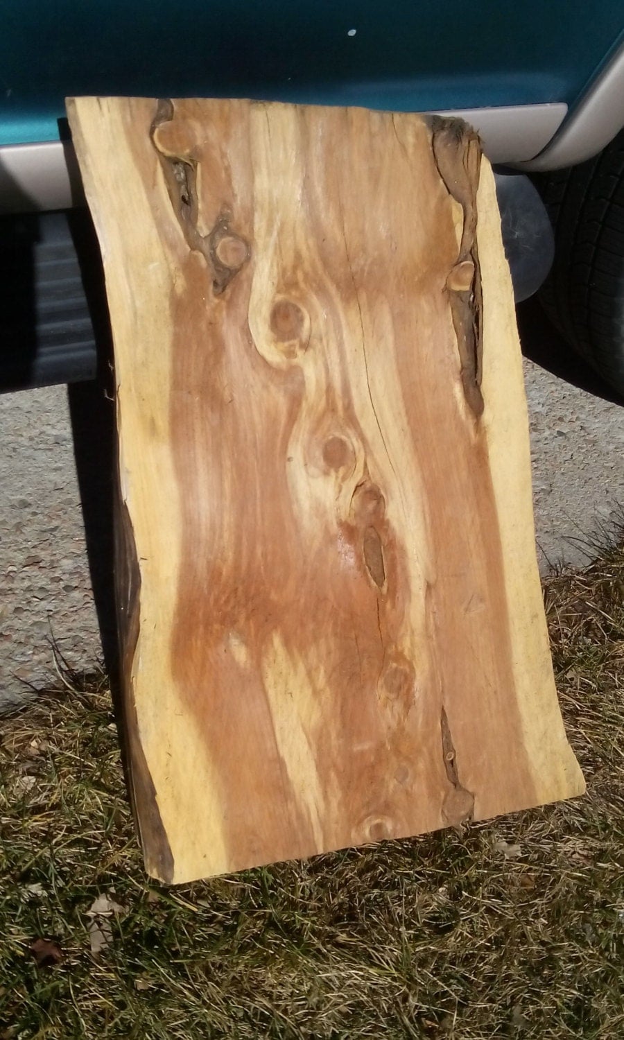 Red Cedar live edge slab Live Edge End Table wood slab DIY