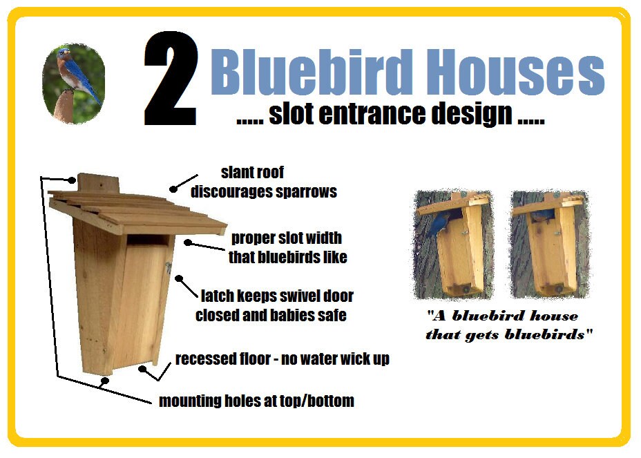 Ark Workshop: 2 PACK Slot Bluebird House Birdhouse box proven