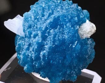 Top Quality 28ct Frosty XL Cavansite w/ Stilbite Crystal Specimen - Wagholi Mine, Maharashtra, India - Item:CV17014