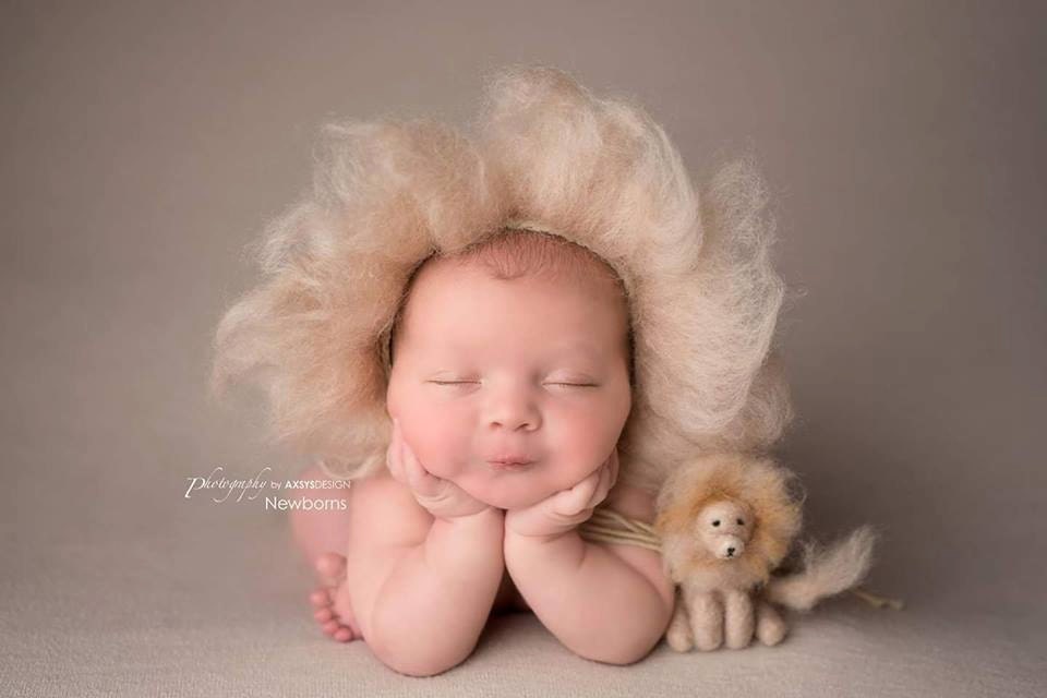 Custom felted animal sets felt animals photography props