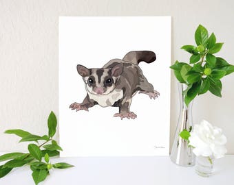 Sugar Glider Art Print, Sugar Glider Accessories, Flying Squirrel, Suggie Print, Animal Artwork, Suggie Memorial, Pet Art Print, Exotic Pets