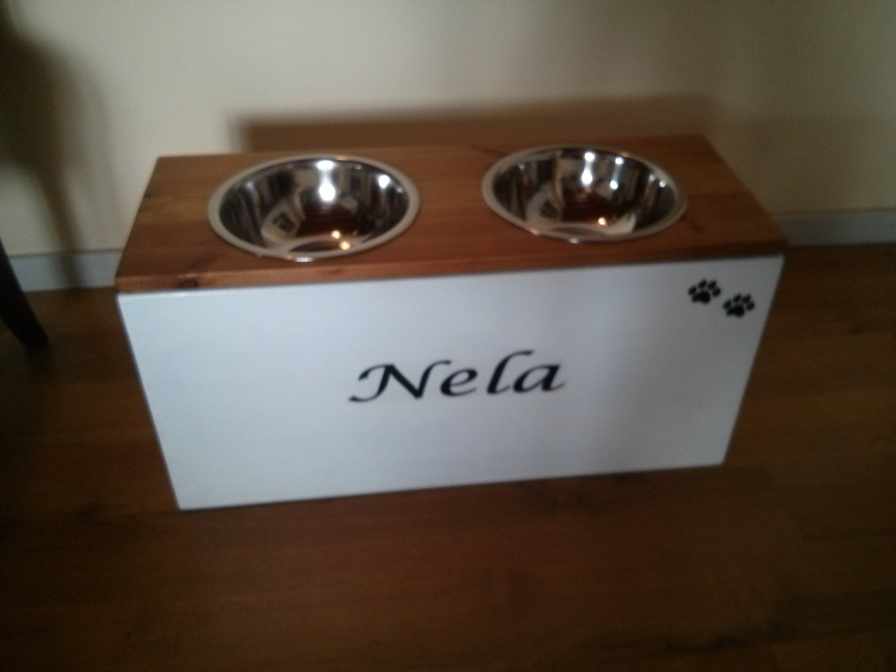 Big Dog feeding storage station big dog bowls dog food