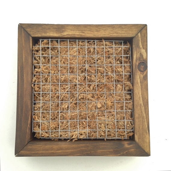 DIY Vertical Garden Frame by dreamlandhort on Etsy