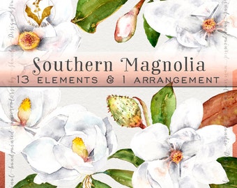 Watercolor flowers, magnolia clipart, clipart flowers, watercolor clipart, wedding clipart, white flowers, southern magnolia, white florals