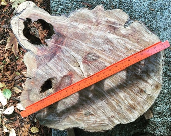 Bi Leaf Maple - Live Edge Slab - Round Coffee Table - Cross Cut