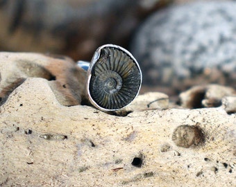 Ammonite ring, fossil ring, unusual ring, handmade silver ring, UK size S ring, No. 20 size ring, US size 9 ring