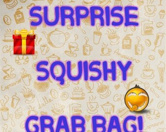 Surprise Squishy Grab Bag!