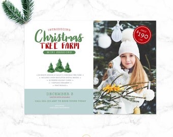 Mini Session Template - Photography Templates - Holiday Winter Mini Session Template - Christmas Tree Farm Mini Template - Sku MS021