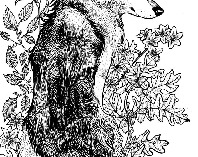 Wolf and Flowers Print Illustration Nature Wolves Floral - 11 by 16 artwork