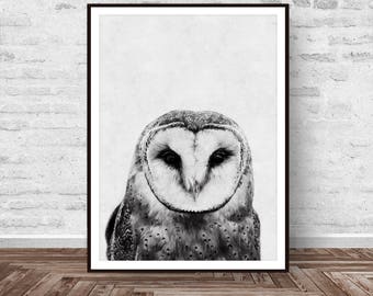 Owl Print, Black and White, Owl Wall Art, Owl Art, Animal Print, Printable Wall Art, Woodlands Decor, Printable Art, Instant Download