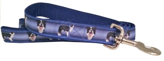 Border Collie Dog Leash Border Collie Martingale Collar