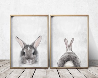 Wall Art Nursery - Bunny Rabbit Print - Bunny Rabbit Wall Art - Bunny Rabbit Poster - Bunny Rabbit Art - Bunny Rabbit Poster - Animal Prints