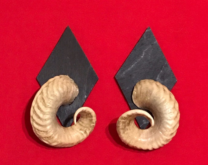 Real ram horns on medallions