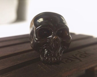 skull of buffalo horn, skull, black skull
