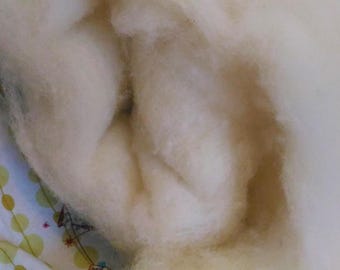 500g cloth of wool carded sheep Ile-de-France 23-28 microns
