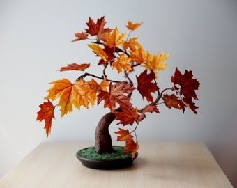 Bonsai Autumn Tree