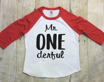 One Birthday Shirt-First Birthday Boys-Mr. Onederful Birthday Shirt-Raglan Sleeve-One Baseball Shirt-Smash Cake Shirt-Made in the USA