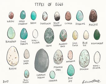 Original illustration - Eggs