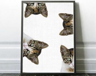Cat Decor, Cat Wall Art, Cat Print, Calico Cat, Printable Art, Instant Download, Animal Photo, Cute Animal Print, City Print, Farm Print