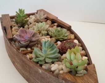 Boat Succulent Planter