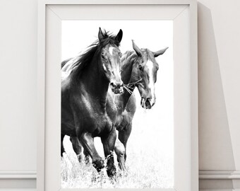 Black Horses, Instant Download Large Art Prints, Modern Minimalist Scandinavian wild life Horses Black and White Photography, Running Horses
