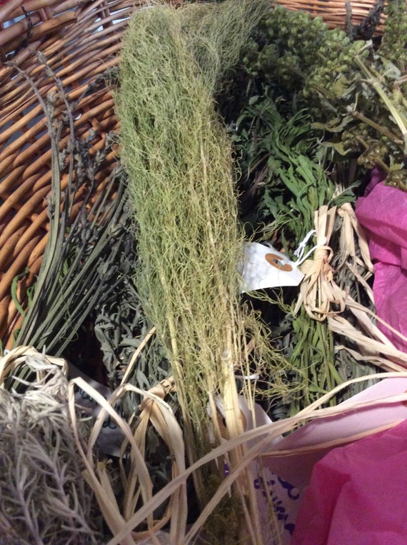 Dried Fennel Bundle by CanYouDigItGifts on Etsy