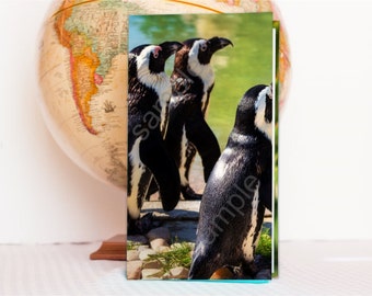 penguin tract holder hardcover tract holder jw pioneer giftsjw ministry field service organizerjw campaign holder jw - Field Service Organizer penguin tract holder hardcover tract holder jw pioneer giftsjw ministry field service organizerjw campaign holder jw - Field Service Organizer