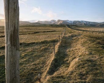 Golden Fields of Iceland