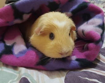 Guinea Pig Cuddle Sack