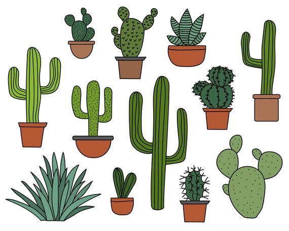  Cactus  Clipart  Set Hand Drawn Clip Art  Illustrations of