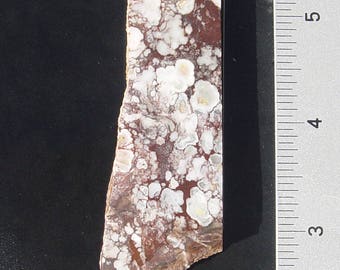 Wild Horse Magnesite Lapidary Slab T185