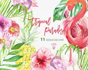 Tropical clip art , Tropical Floral Clipart flamingo clipart, Summer Flowers png, pineapple , tropical clip art , Watercolor cliparts