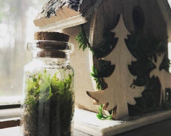 Earth in a bottle- Mini earth, live green moss terrarium